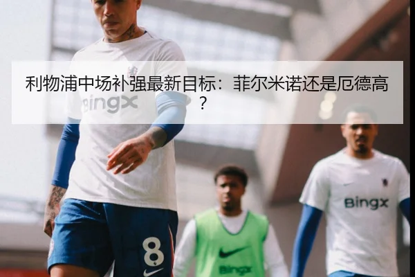 利物浦中场补强最新目标：菲尔米诺还是厄德高？